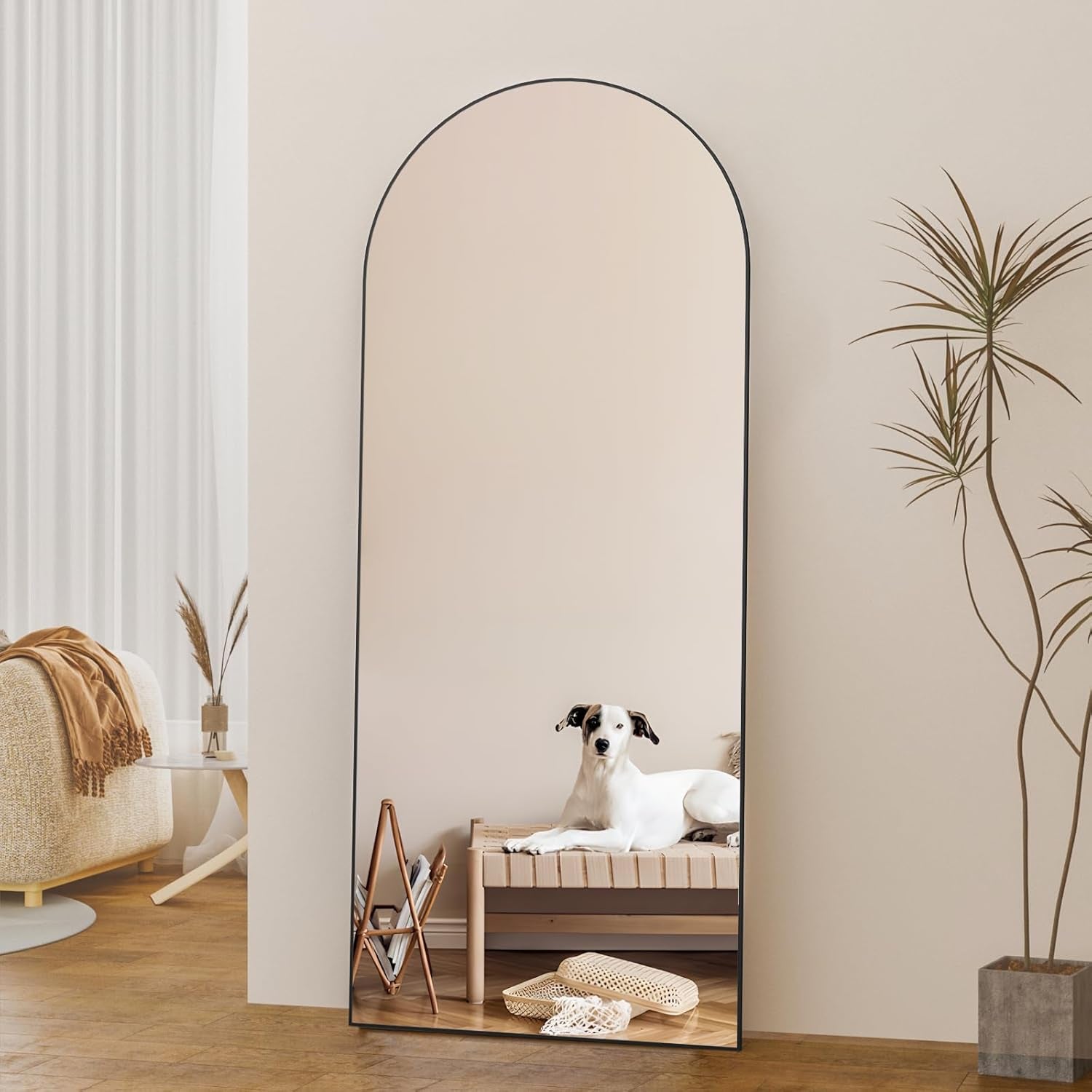 Arched Full Length Mirror 65" × 24"