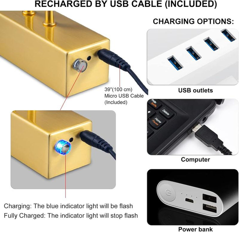 Rechargeable LED Picture Light